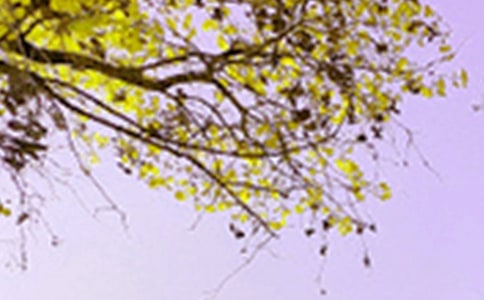 ���ھ�ɫ������