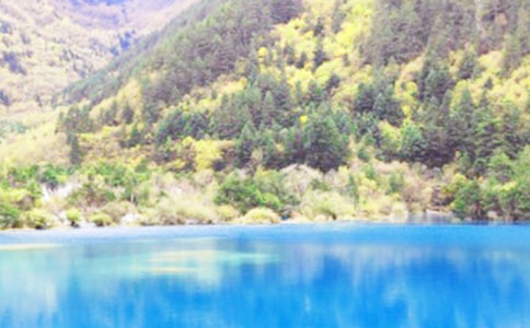 ��կ���ĵ����15ƪ