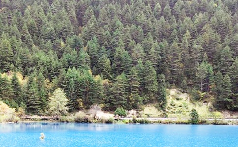 ��կ���ĵ����