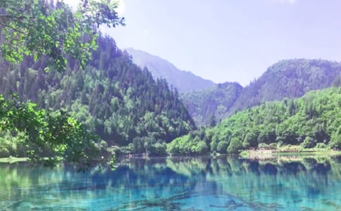 ��կ�������ĵ����