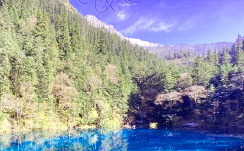 ���¾�կ���ĵ���� ��կ�������ĵ����