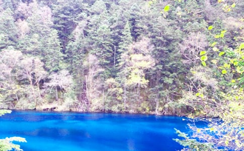 ��կ�������ĵ�