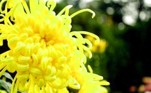 �ջ����޶����