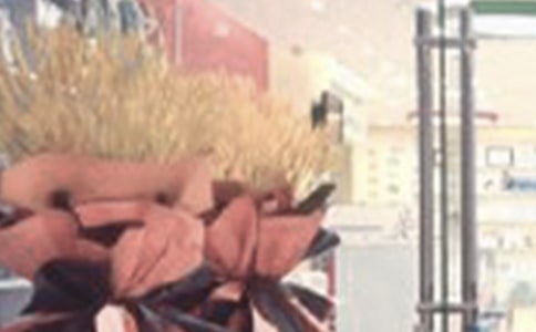 ף���µ꿪ҵף����