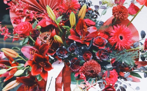 ���ѿ���ף����