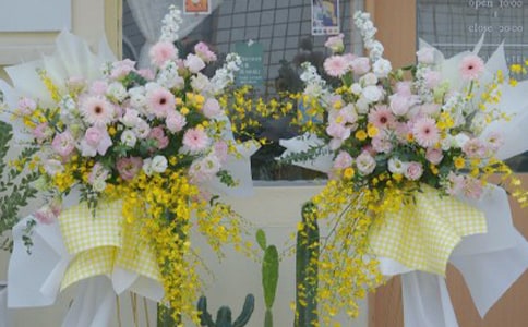 �µ꿪��ף����