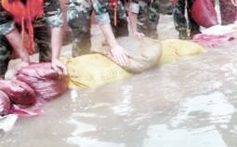 ������ֳ�����15ƪ