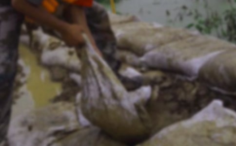 ������ֹ����ĵ����