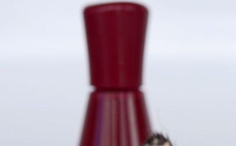 �ں�ľ������