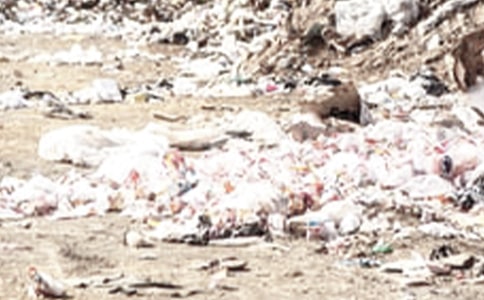 ��������Э����15ƪ