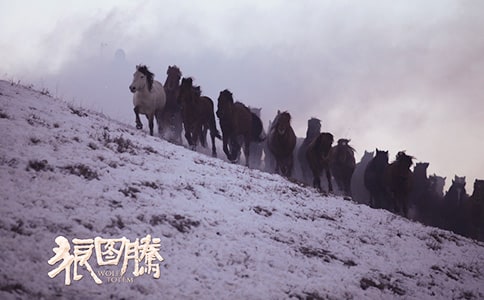 ��ͼ����������