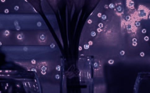 ����������޶����