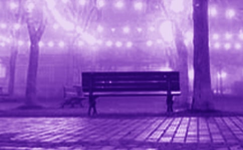 2024��������˵����¼36��