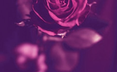 2024��������˵����¼30��