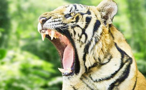 С�ϻ����ռǶ����