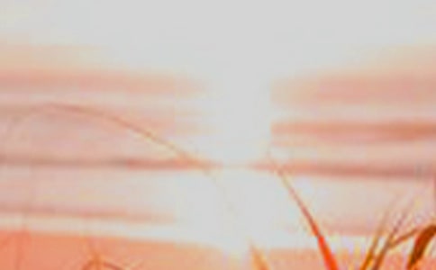 ����ǰ�ĺڰ���־����