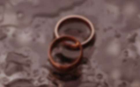 �������Э����ģ��