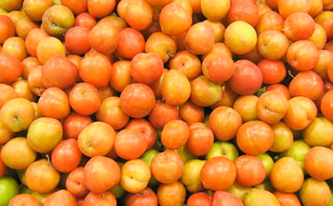 С���ӵĻ񽱸���