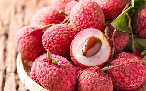 ����������֦������С��ر���