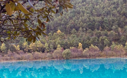 �����ų������ĵ÷���[20ƪ]