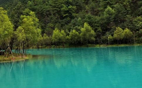 �����ų������ܽ�ͨ��