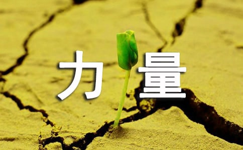 ����ѡ���ۿ������������ĵ����15ƪ