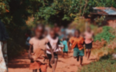 �ذ����ض�ͯ�Ĺ����ܽ�