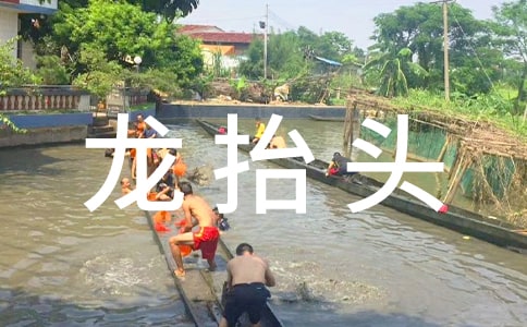 ��̧ͷȺ��ף����