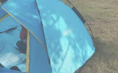 ¶Ӫ��߻���������15ƪ