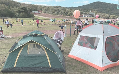 ¶Ӫ��߻������ر�(15ƪ)