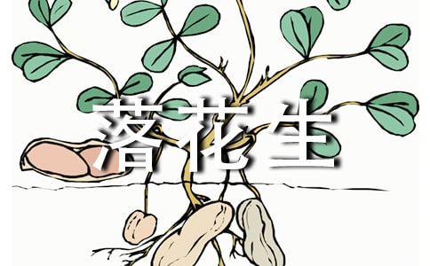 《落花生》读后感