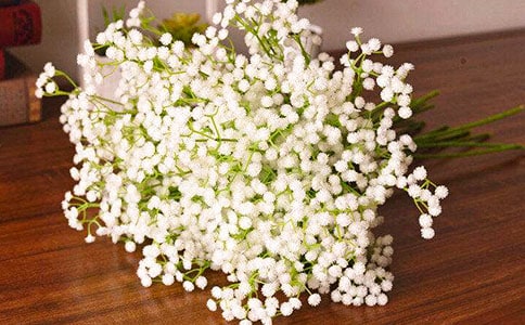 �������ǵ�ף����