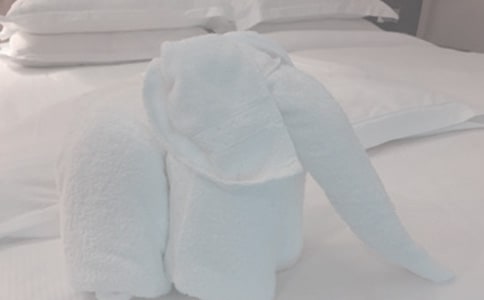 ë������İ�