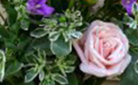 ҹݺ��õ������