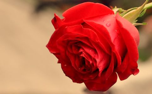 ����õ�����������ĵ����