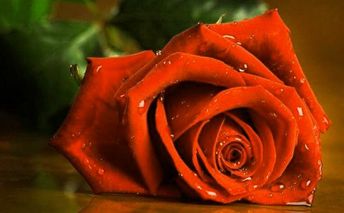 ˵��õ��Ĵ��ⴴҵ�²�Ʒ