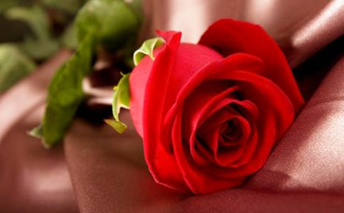 ��õ�����õ���ĵ����