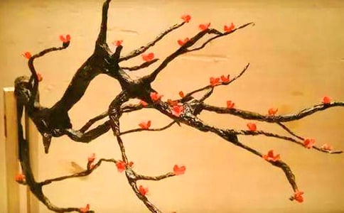 ����ѡ����÷���꡷�����