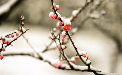 ��÷���꡷�Ķ����