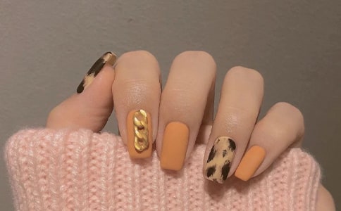 ����ʦ���ҽ���