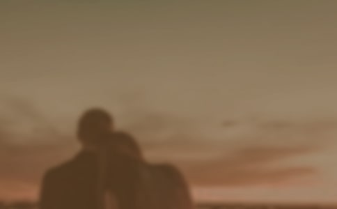 ������Ů����Э������ƪ