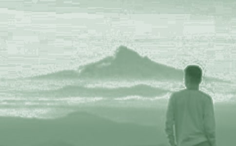 ���������Ӻ����ۺ��