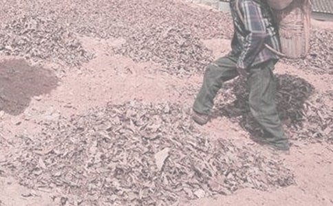 ��ũ���ĵ����9ƪ