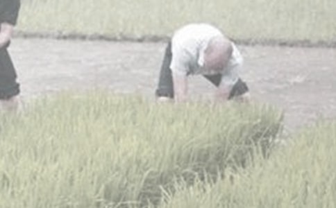 ��ѧ��ũ�����ʵ�����潨���ղر���