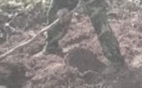 ��ũ���ĵ����