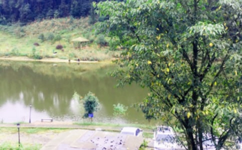 ��ѧũ���ֻ�߻���