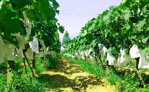 ũ���ֲ߻���(15ƪ)