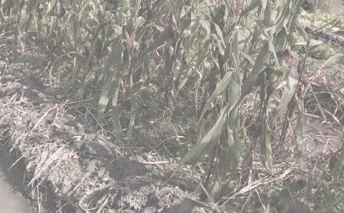 ũ���﹤���ܽ�