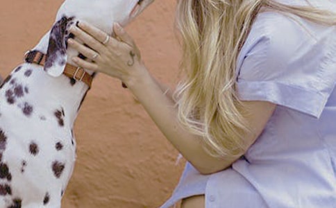 Ů����ְ�����ٽ�������