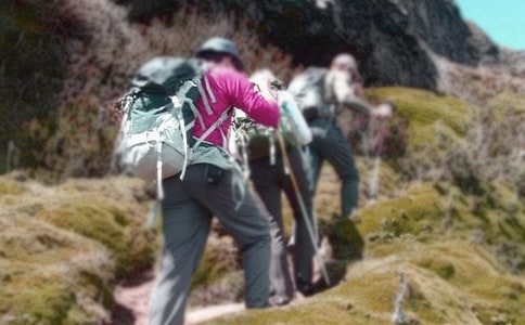 ��ɽ�ĵ����(�Ƽ�)